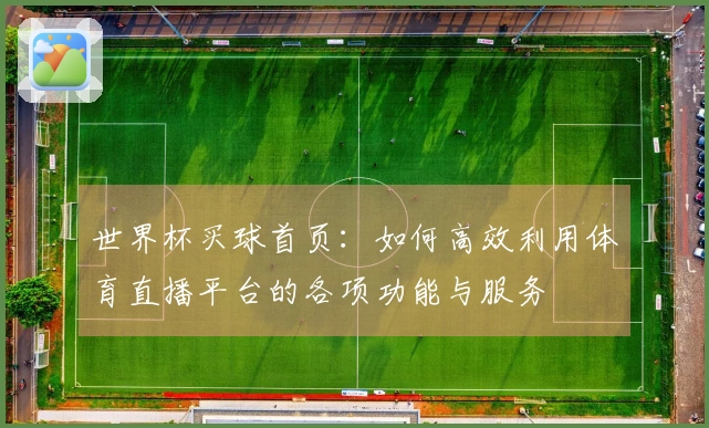 世界杯买球首页：如何高效利用体育直播平台的各项功能与服务