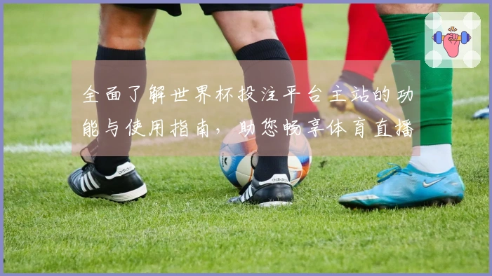 全面了解世界杯投注平台主站的功能与使用指南，助您畅享体育直播体验