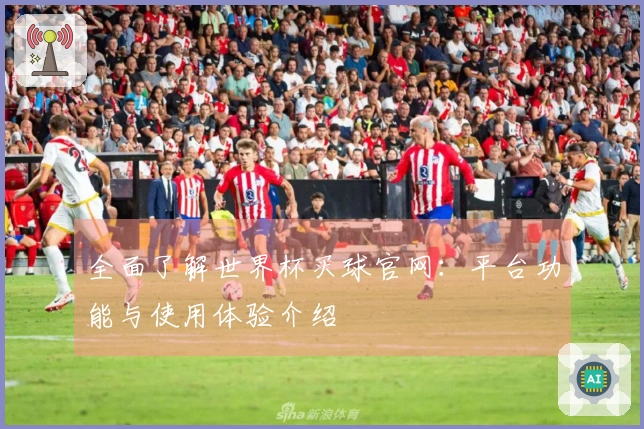 全面了解世界杯买球官网：平台功能与使用体验介绍