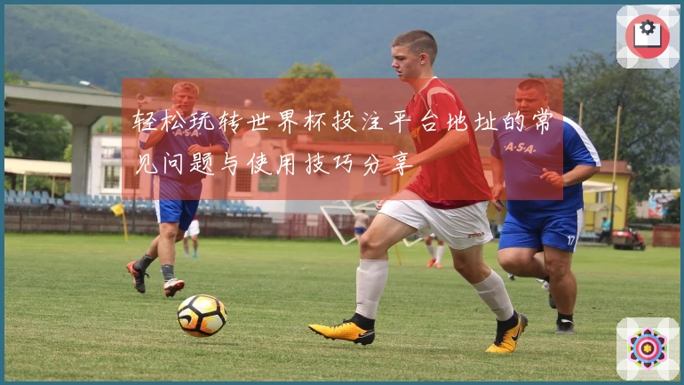 轻松玩转世界杯投注平台地址的常见问题与使用技巧分享