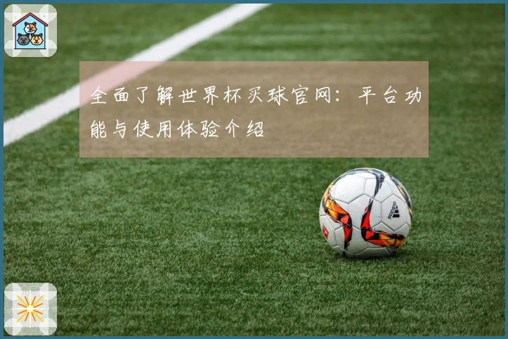 全面了解世界杯买球官网：平台功能与使用体验介绍