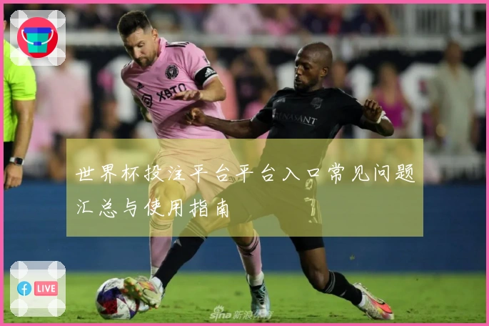 世界杯投注平台平台入口常见问题汇总与使用指南