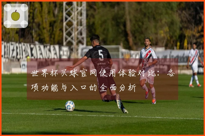 世界杯买球官网使用体验对比：各项功能与入口的全面分析