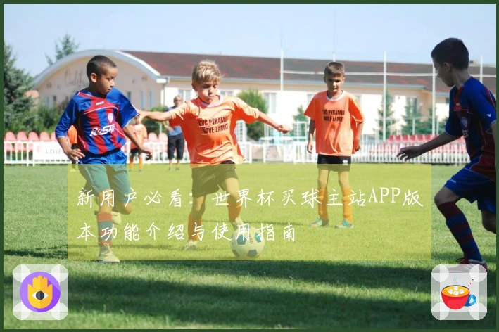 新用户必看：世界杯买球主站APP版本功能介绍与使用指南
