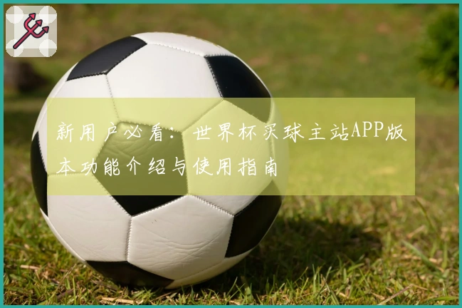 新用户必看：世界杯买球主站APP版本功能介绍与使用指南