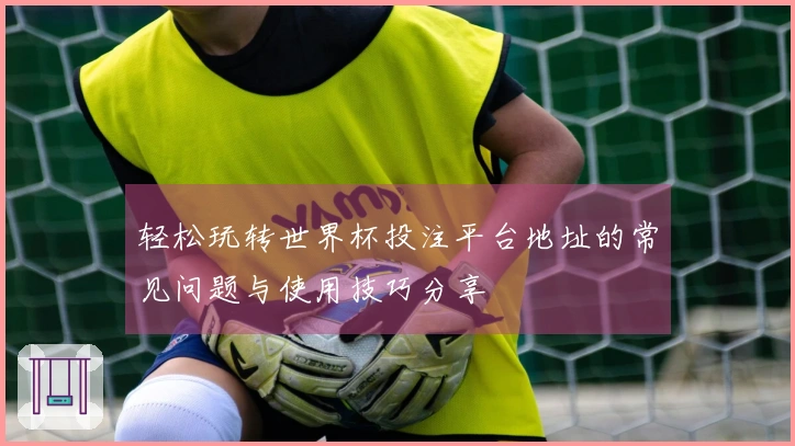 轻松玩转世界杯投注平台地址的常见问题与使用技巧分享