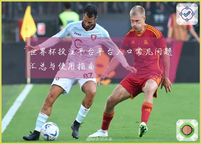 世界杯投注平台平台入口常见问题汇总与使用指南