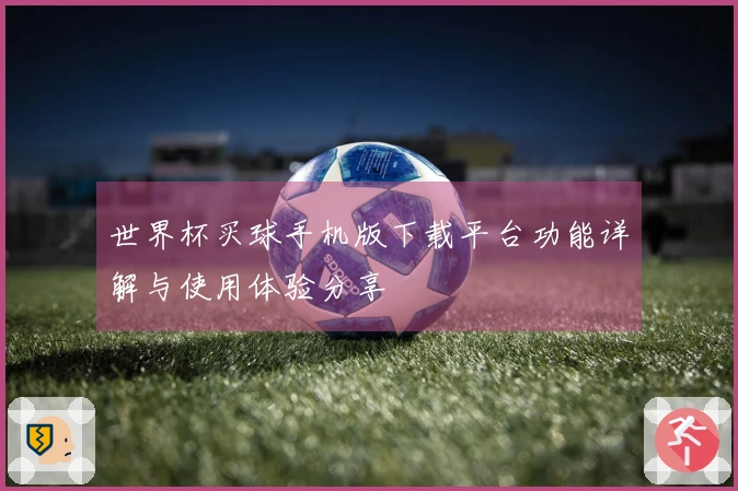 世界杯买球手机版下载平台功能详解与使用体验分享